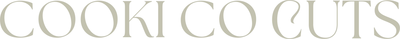 Cooki Co Cuts Cookie Stamps