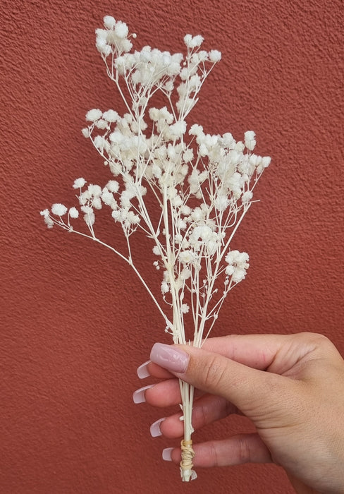 Dried Flower - Baby's Breathe White