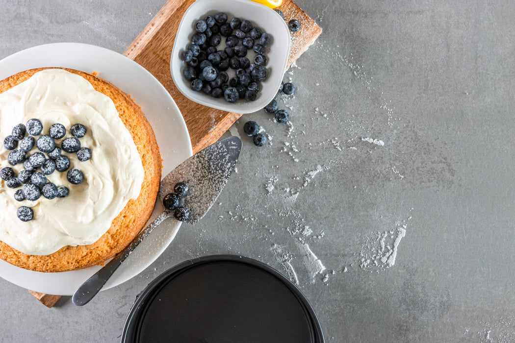 MasterCraft Springform Heavy Base Round Cake Pan 11cm