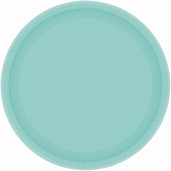 23cm Round Dinner Paper Plates - Robin's Egg Blue 20pk