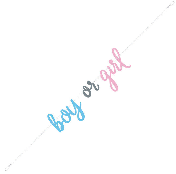 Blue & Pink Gender Reveal "Boy or Girl" Script Banner