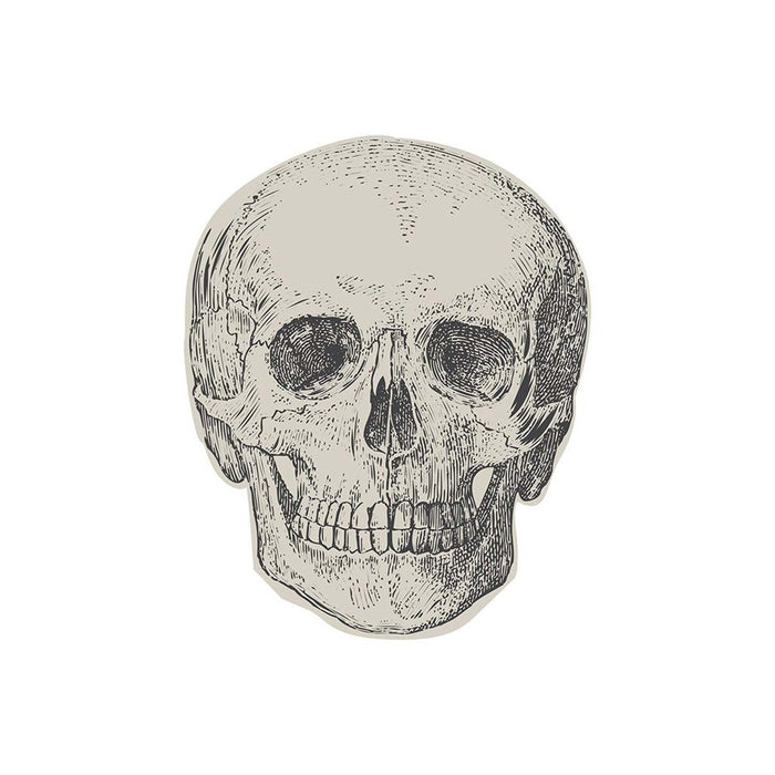 Creepy Chic Skull Paper Napkins 16pk