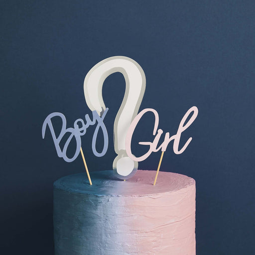 We Wonder What You Are? Gender Reveal Card Cake Topper Set