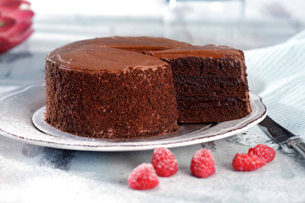 Pettina Chocolate Cake Mix 15kg