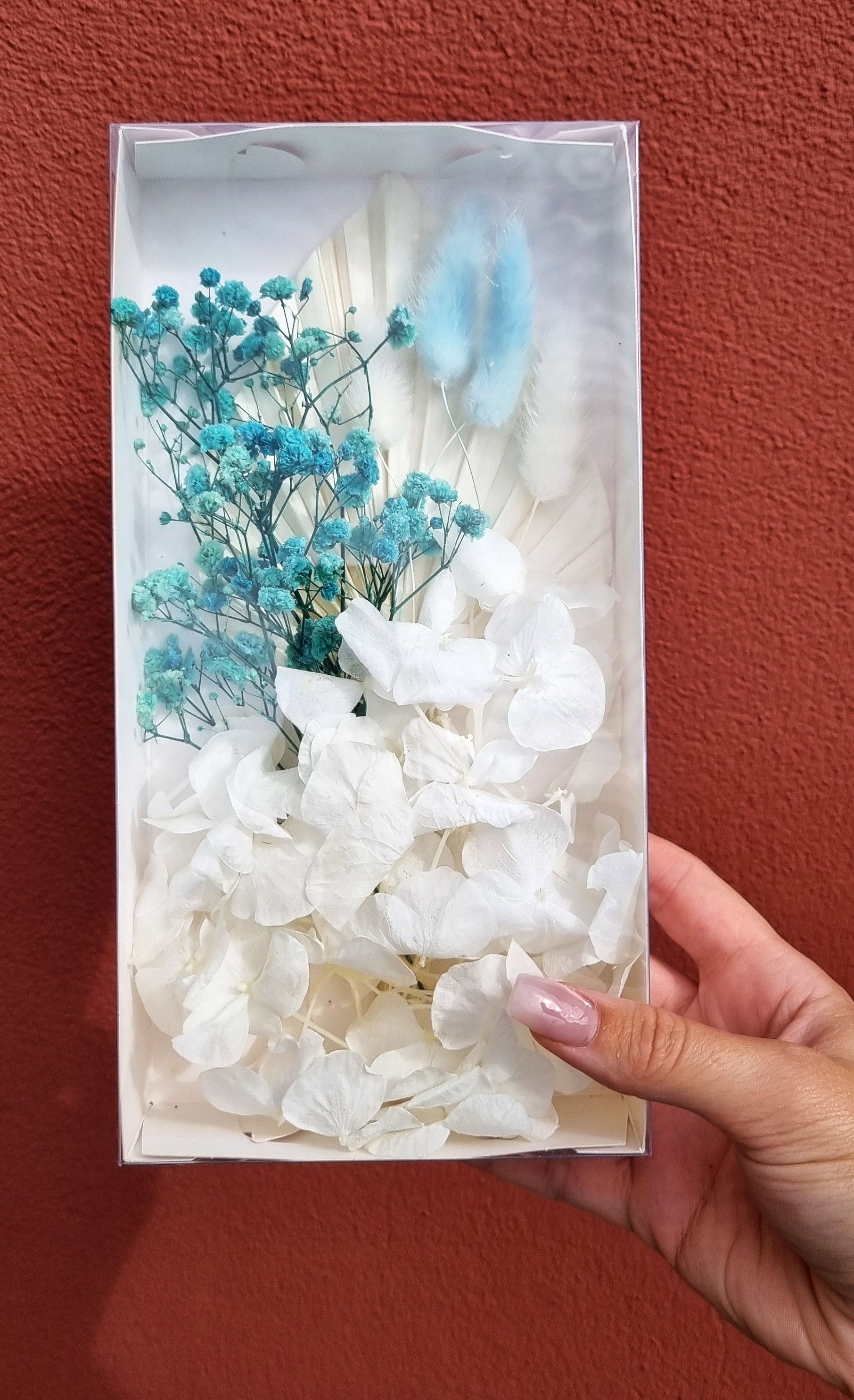 Dried Flowers & Fruit — Party Mix - Perth Party & Cake Supplies