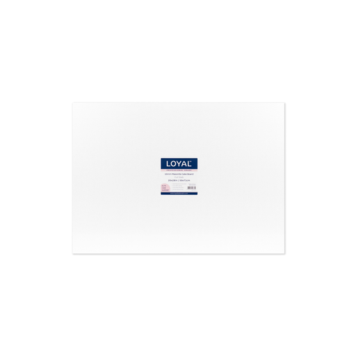 10mm Masonite White Board Full Slab (20x28")
