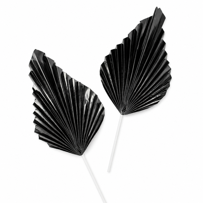 Paper Fan Cake Topper 2pc - Black