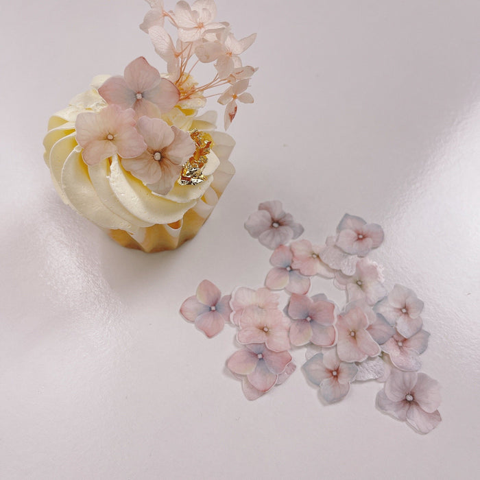 More Wafer Hydrangeas Soft Pastels Pack of 24