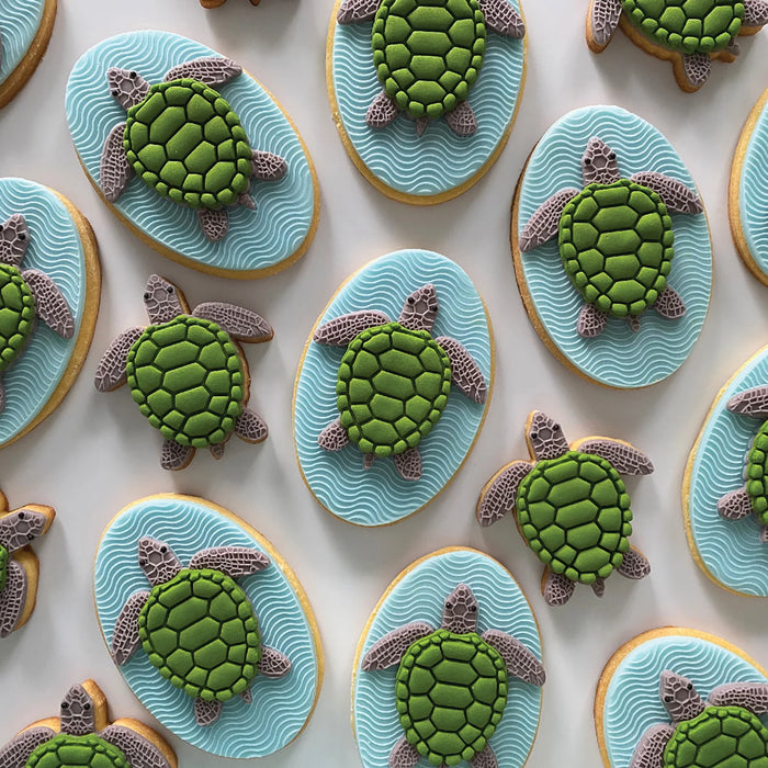 Lorena's Sweets - Tina The Turtle Single Cookie Kit