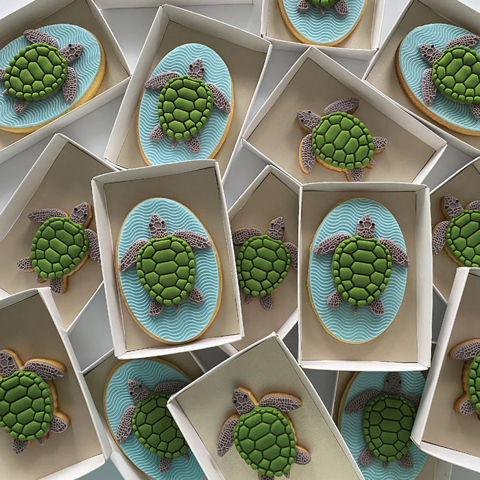 Lorena's Sweets - Tina The Turtle Single Cookie Kit
