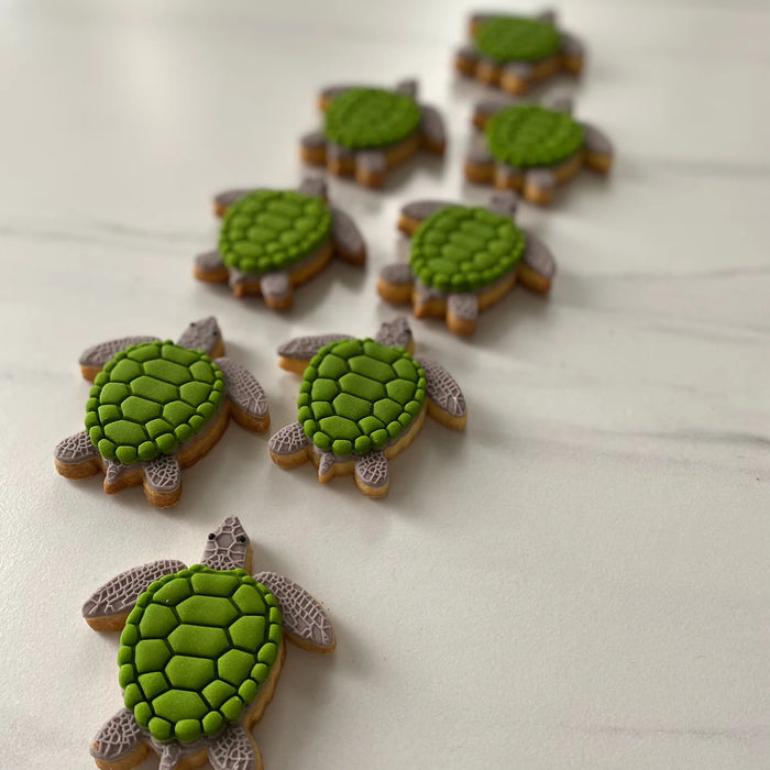 Lorena's Sweets - Tina The Turtle Single Cookie Kit