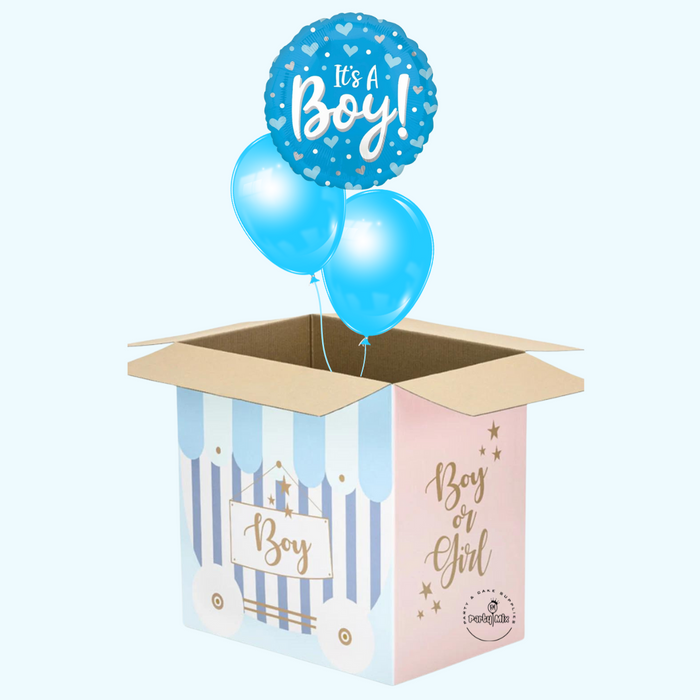 Gender Reveal Balloon Box