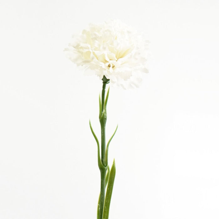 Carnation Stem (Bright White) Natural Touch