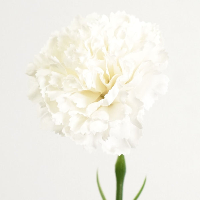 Carnation Stem (Bright White) Natural Touch