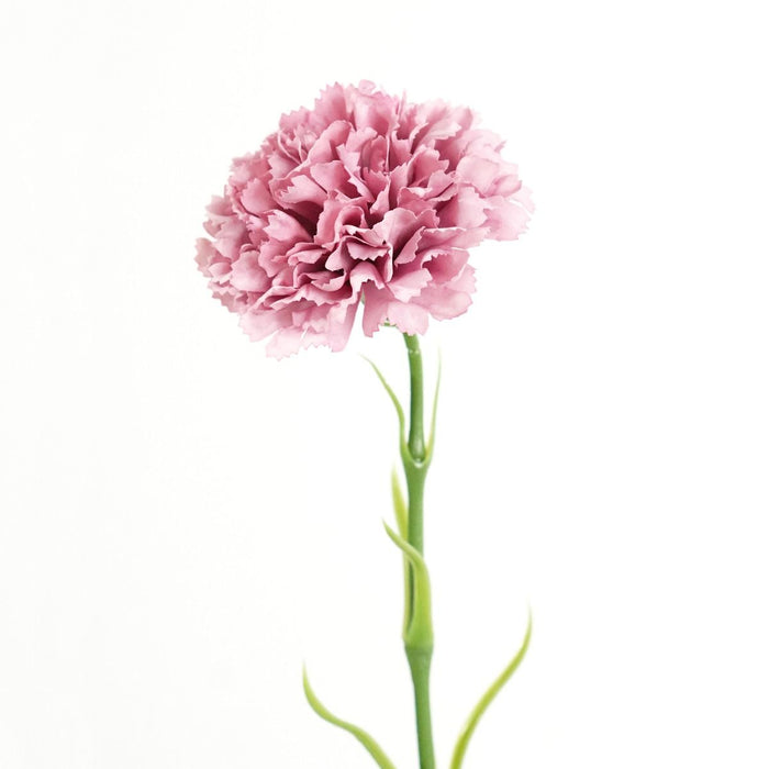Carnation Stem (Dusty Mauve) Natural Touch