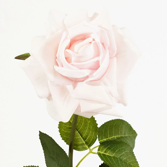 Bella Tea Rose Stem (Baby Pink) Natural Touch