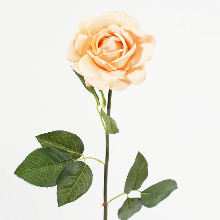 Bella Tea Rose Stem (Peach) Natural Touch