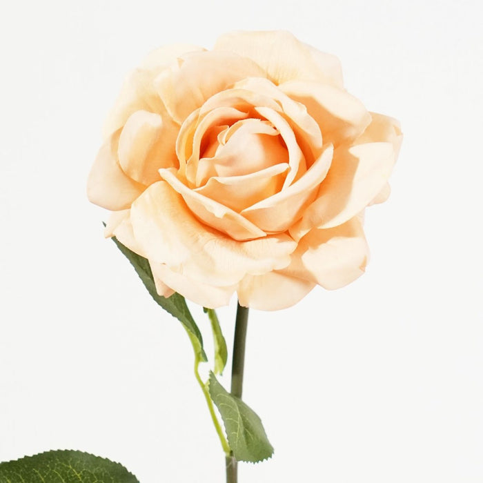 Bella Tea Rose Stem (Peach) Natural Touch