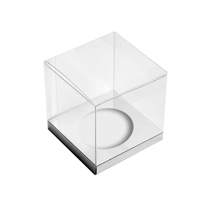 Single Cupcake Box with SILVER Insert